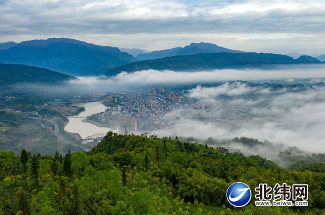 云雾青山间的天全县城 (天全县林业局供图)