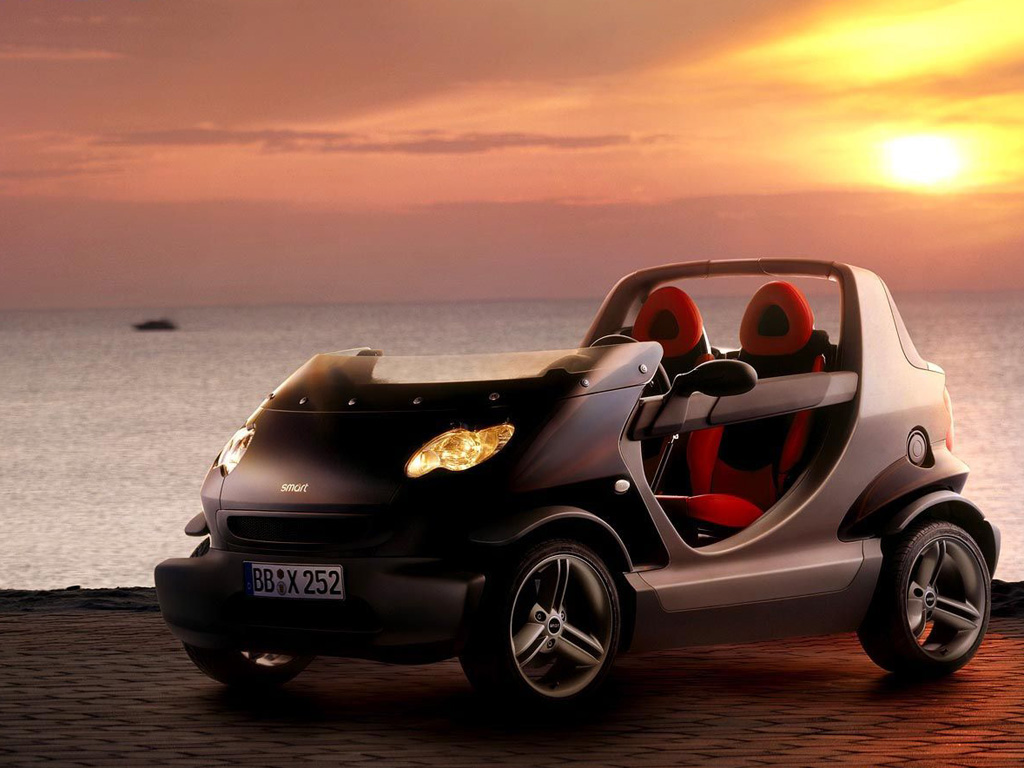 С���� smart ������������ŷ