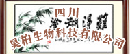 껰�����Ƽ����޹�˾