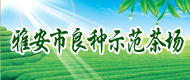 �Ű�������ʾ���賧