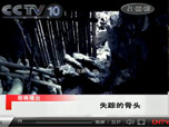 CCTV����è����:ʧ�ٵĹ�ͷ