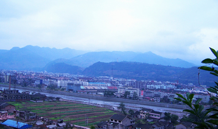 荥经:寻找关于大熊猫的点滴意象