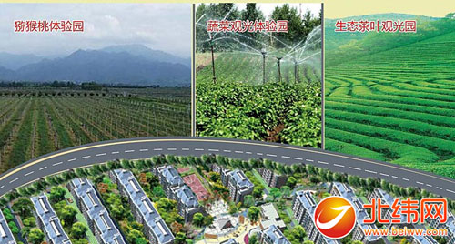 雨城区gdp_四川雅安飞地村找到致富新路子 国内新闻 国内国际