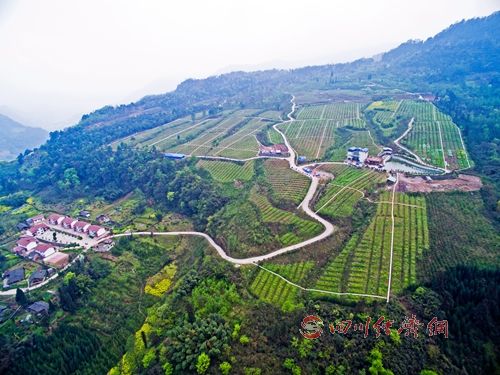 青龙乡镇GDP_凯青龙志图片(2)