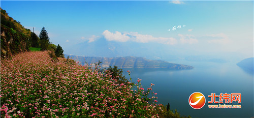 托优势 我市推进康养产业发展-房产新闻-伊春信