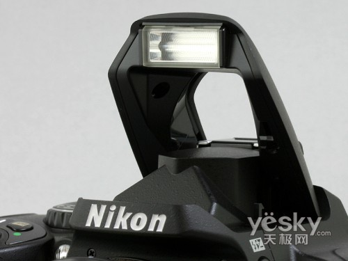�῵D40