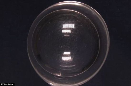 20120427081716455.jpg