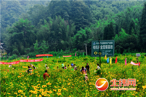 华西村人均收入_2018居民人均纯收入(3)