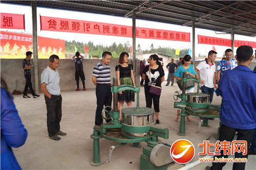 五猖会主要内容_村民主要收入来源调查(3)