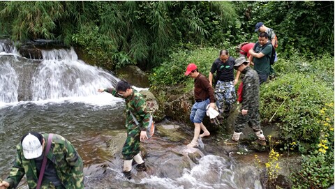 综合信息监管平台建设开展森林资源二类调查目
