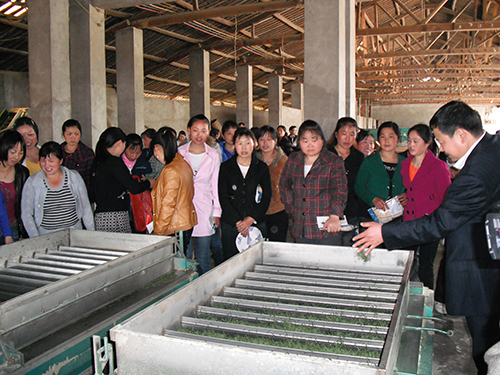 雅安市地图_江西人均水资源_雅安市人均收入(3)