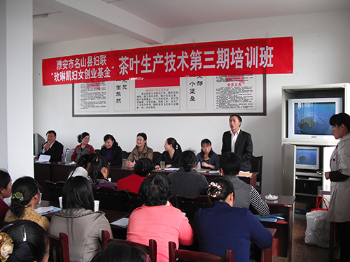 雅安市地图_雅安市人均收入(3)