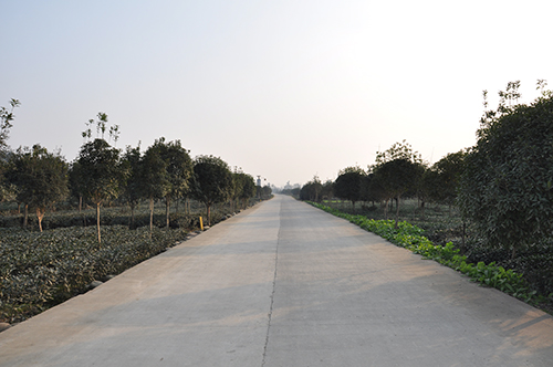 雅安市地图_江西人均水资源_雅安市人均收入(2)