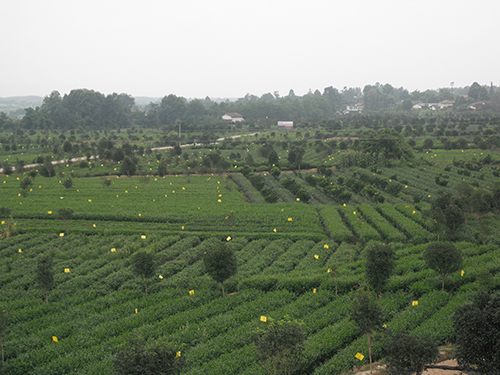 雅安市地图_江西人均水资源_雅安市人均收入(3)