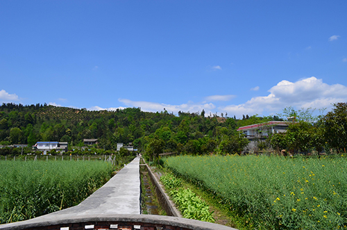 雅安市地图_江西人均水资源_雅安市人均收入(2)