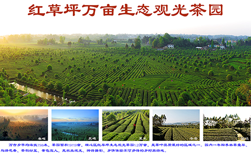 雅安市地图_江西人均水资源_雅安市人均收入(2)