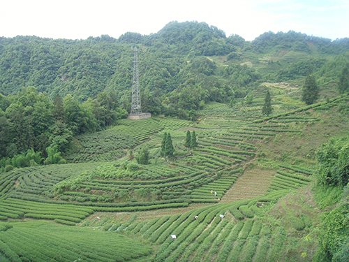 雅安市地图_江西人均水资源_雅安市人均收入(3)