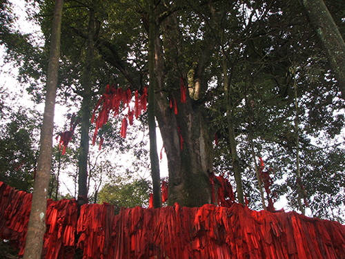 雅安市地图_江西人均水资源_雅安市人均收入(3)