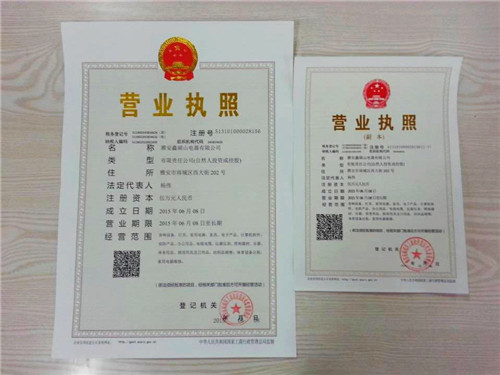 雅安市雨城区发出首张三证合一营业执照