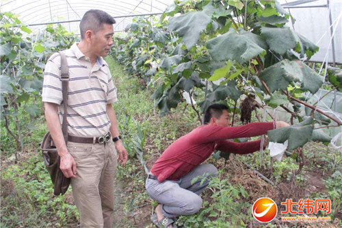 衡水老白干董事长(3)