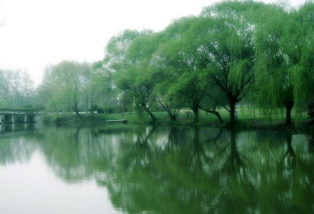 南京玄武湖