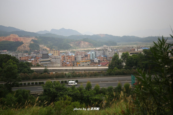 福安有多少人口_福建四大美女都在福安,哪一个是你的最爱
