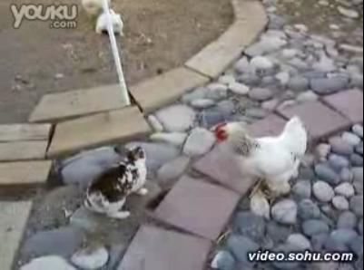 ��Ц����������Ȱ��