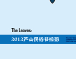 芦山民俗节 微镜头 文艺范
