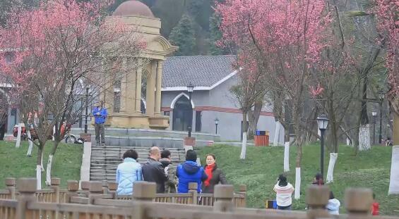 市民踏青赏花 感受春的气息