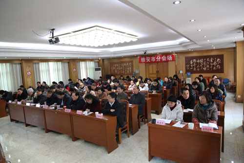 雅安市地图_雅安市财政收入(2)