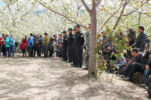 安局圆满完成车厘子花卉节活动安全保卫工作-