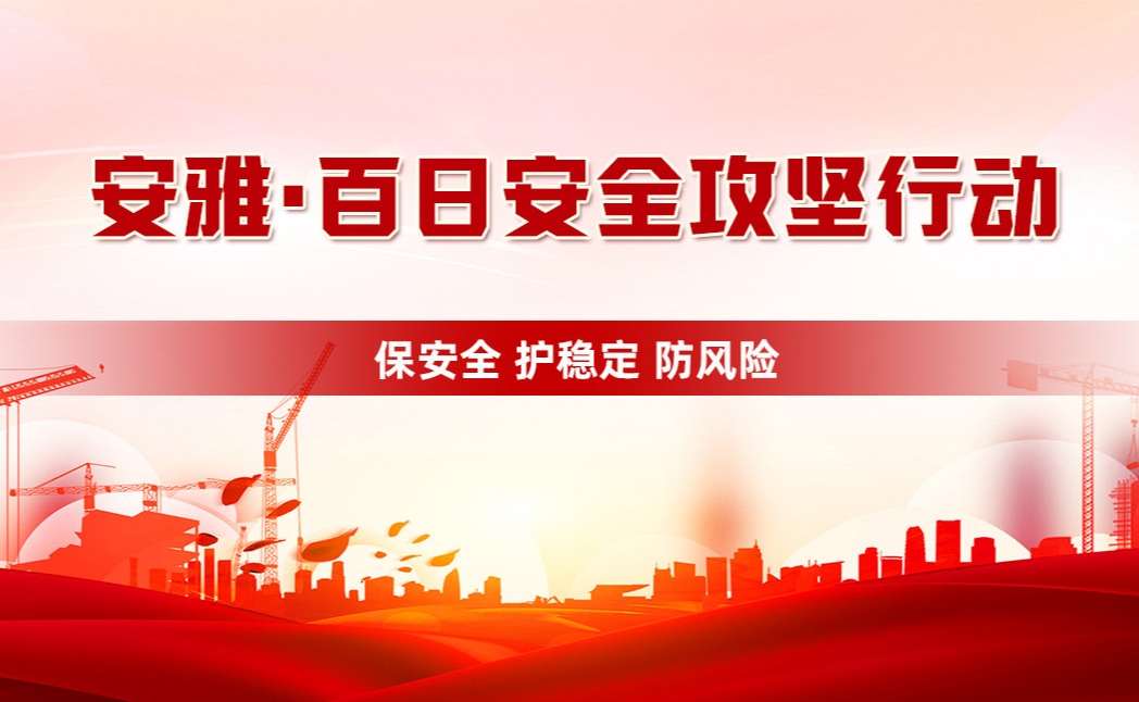 安雅·百日安全攻坚行动