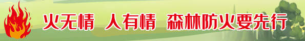 森林草原防灭火专项整治工作进行时